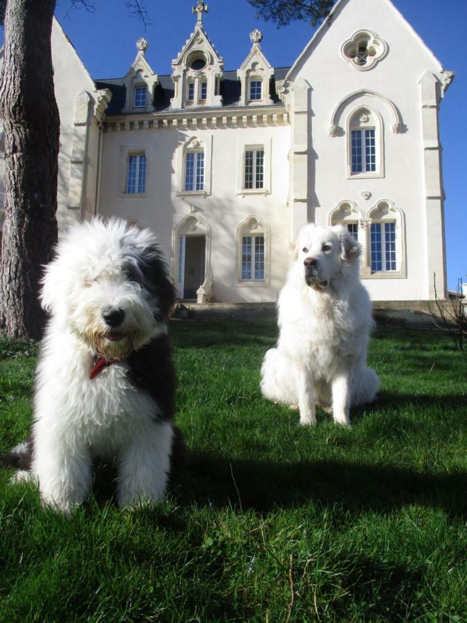 Le Manoir De Sanilhac Bed & Breakfast Notre-Dame-de-Sanilhac Exterior foto